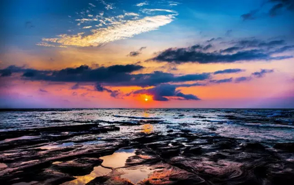 �V�����������������ލu���ι���