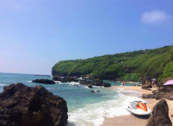 �V�����������������ލu����