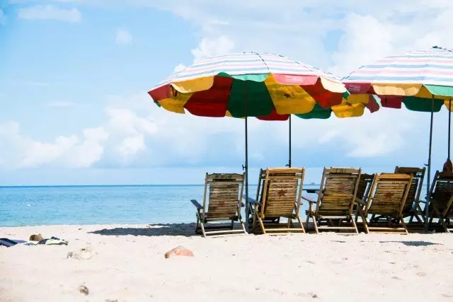 �V�����������������ލu����