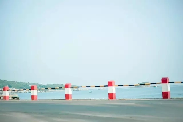 �V�����������������ލu