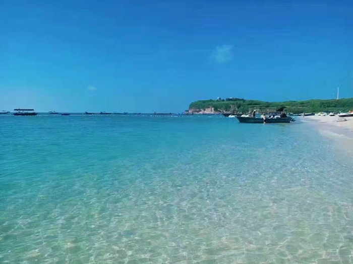 �V�����������������ލu