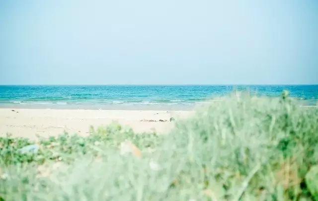 �V�����������������ލu