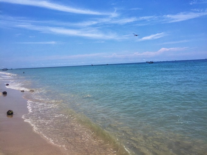 �V�����������������ލu