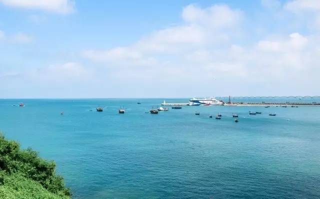 �V�����������������ލu