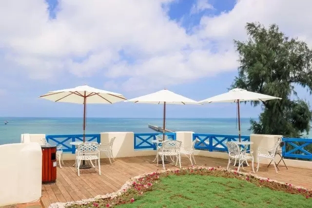 �V�����������������ލu