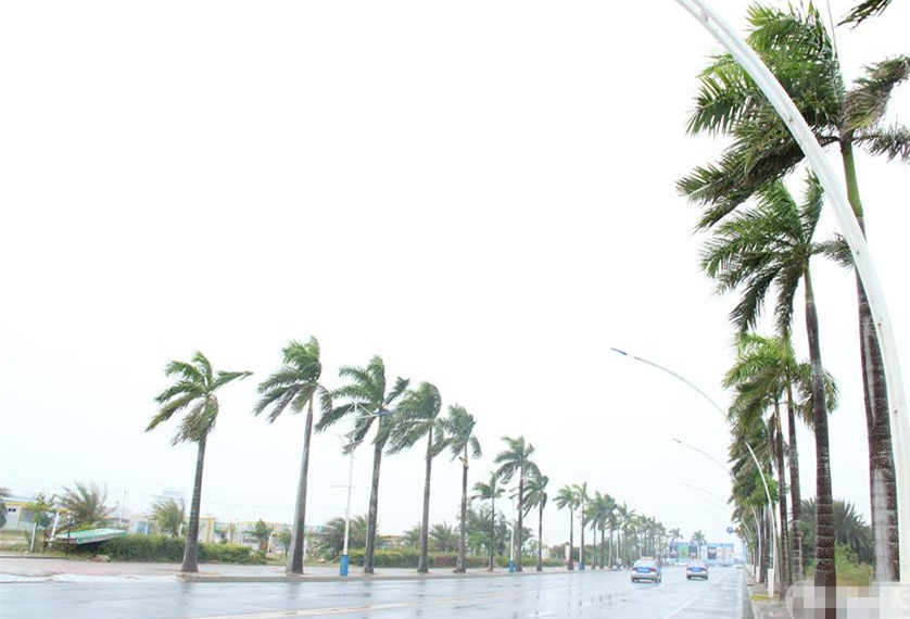 �V���������������_�L(f��ng)