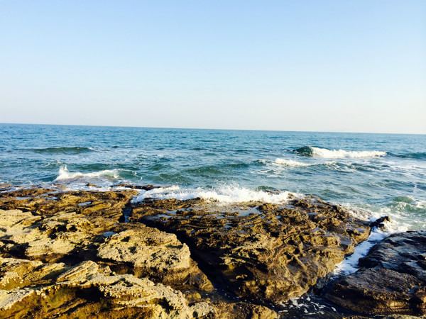 �V�����������磬���ލu����