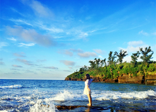 �V�����������������ލu����