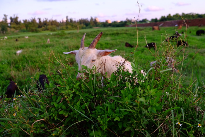 �V�����������������ލu����