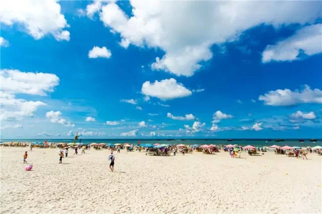 �V�����������������B(ni��o)�B(y��ng)������������