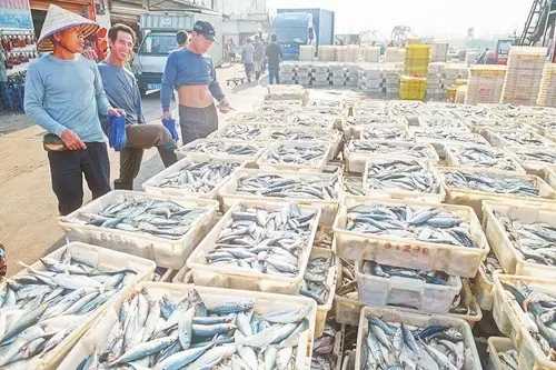 �V�����������������r