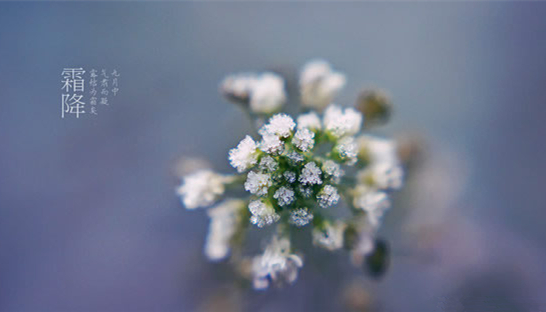 �V���������������������