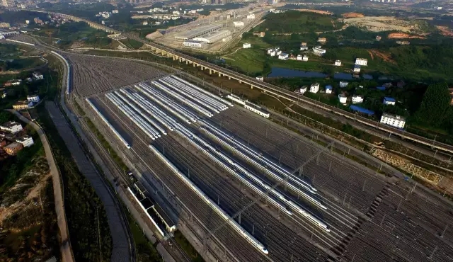 �V���������������������F