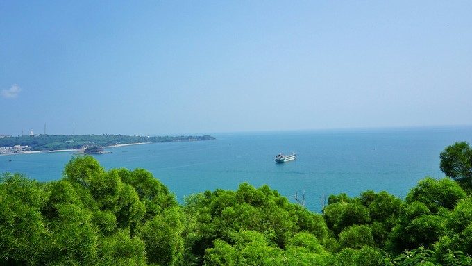 �V���������������ό������ލu����