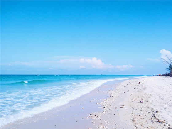 �V�����������磬�ό������ލu����