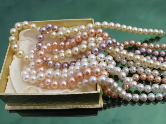 �V�����������磬���������M(f��i)��