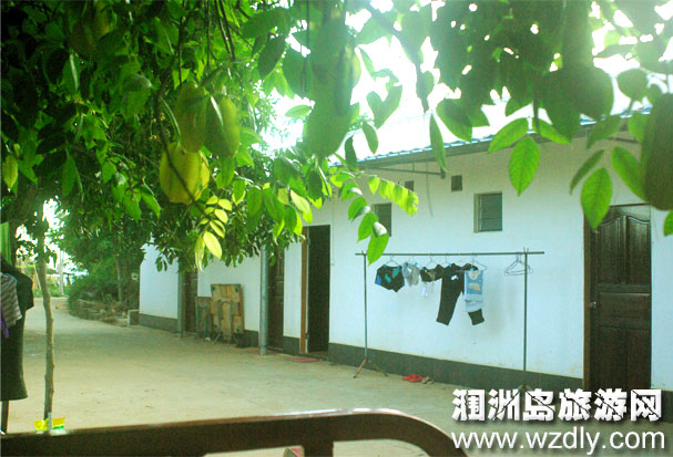 �����O�Ҙ�(ʯ�ݿ�)