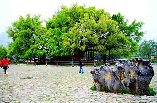 ���Ř��L���^(q��)